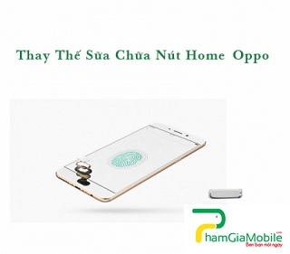 Thay Thế Sửa Chữa Hư Liệt Nút Home Oppo N1 Mini Chính Hãng 